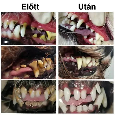 🎁🐶🐱[🇭🇺 Hivatalos Áruház] Healrize® Állati Fogászati és Emésztési Egészséget Támogató Orális Folyadék – Friss lehelet, fogkő eltávolítása és ínyregeneráció támogatása, a fogak stabilizálása (macskáknak és kutyáknak) – Ma 70% kedvezmény!