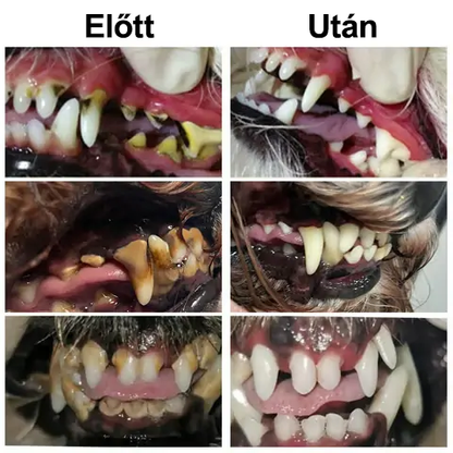 🎁🐶🐱[🇭🇺 Hivatalos Áruház] Healrize® Állati Fogászati és Emésztési Egészséget Támogató Orális Folyadék – Friss lehelet, fogkő eltávolítása és ínyregeneráció támogatása, a fogak stabilizálása (macskáknak és kutyáknak) – Ma 70% kedvezmény!