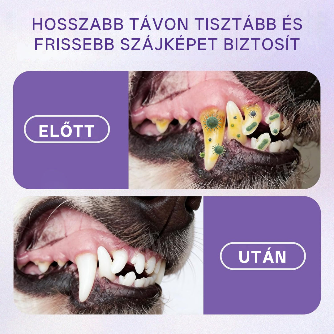 🌟 Hivatalos áruház | TTopy™ Cink-glükonát szájspray kisállatoknak- 📦