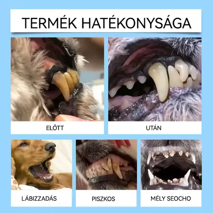 🎁🐶🐱[🇭🇺 Hivatalos Áruház] Healrize® Állati Fogászati és Emésztési Egészséget Támogató Orális Folyadék – Friss lehelet, fogkő eltávolítása és ínyregeneráció támogatása, a fogak stabilizálása (macskáknak és kutyáknak) – Ma 70% kedvezmény!