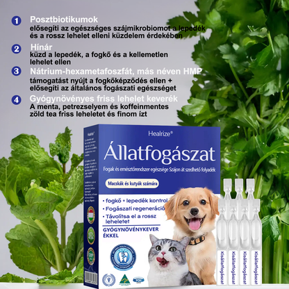 🎁🐶🐱[🇭🇺 Hivatalos Áruház] Healrize® Állati Fogászati és Emésztési Egészséget Támogató Orális Folyadék – Friss lehelet, fogkő eltávolítása és ínyregeneráció támogatása, a fogak stabilizálása (macskáknak és kutyáknak) – Ma 70% kedvezmény!